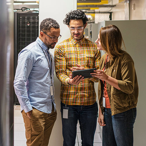 IT professionals